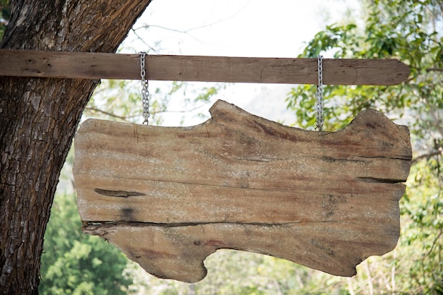 Фото Клоуз-ап пустой деревянной вывески, висящей на стволе дерева в лесу