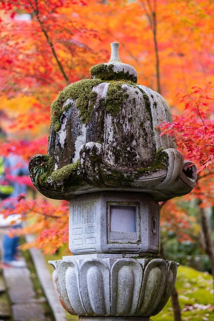 写真 秋の仏像のクローズアップ