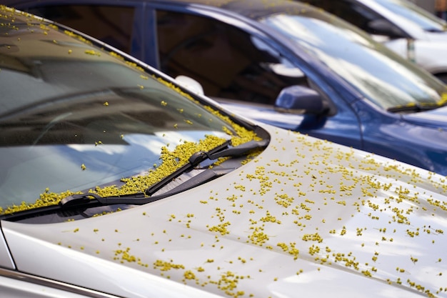 写真 車のクローズアップ