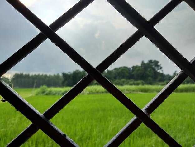 Фото Близкий взгляд на цепной забор