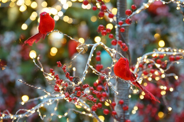 写真 クリスマスツリーのクローズアップ