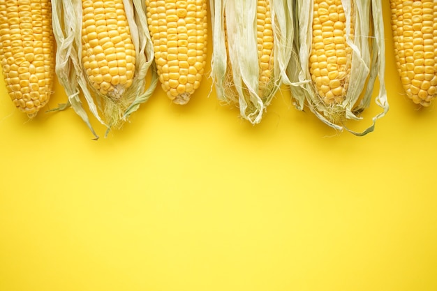 Фото Крупный план початков спелой сырой кукурузы