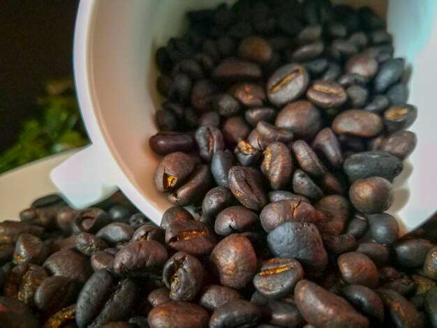 写真 コーヒー豆のクローズアップ
