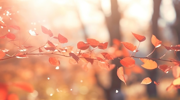 Фото Цветные желтые листья осенью листья клена падают осенью для фонового изображения
