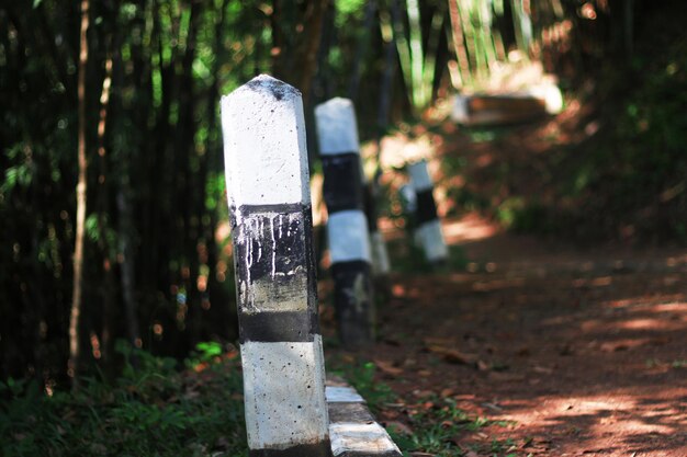 写真 墓地の十字架のクローズアップ