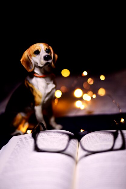 写真 遠くを見回す犬のクローズアップ