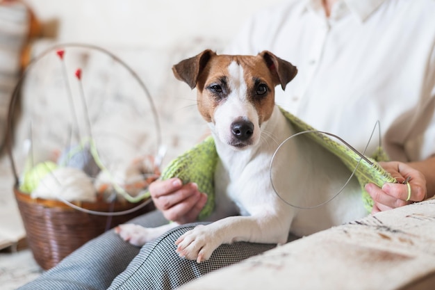 写真 犬のクローズアップ