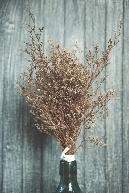 写真 花瓶の中の乾燥した植物のクローズアップ