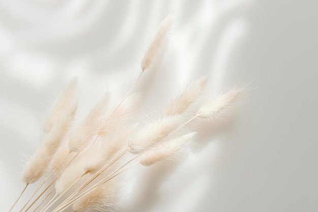 Фото Близкий план перья на белом фоне