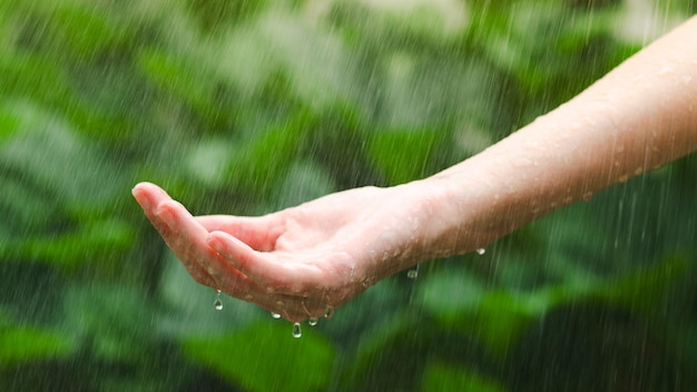 写真 緑色のぼんやりした背景の水滴で雨の中の女性の手のクローズアップ