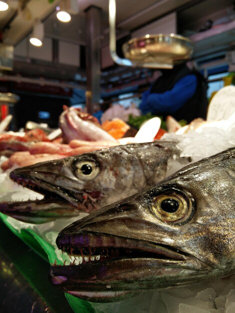 写真 市場で販売する魚のクローズアップ