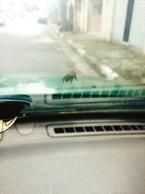 写真 自動車のフロントガラスに飛ぶクローザップ