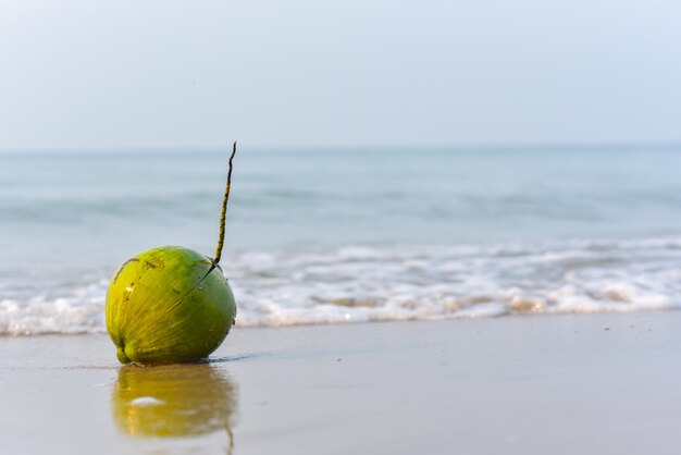 写真 浜辺のフルーツのクローズアップ