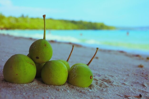 写真 浜辺の果物のクローズアップ