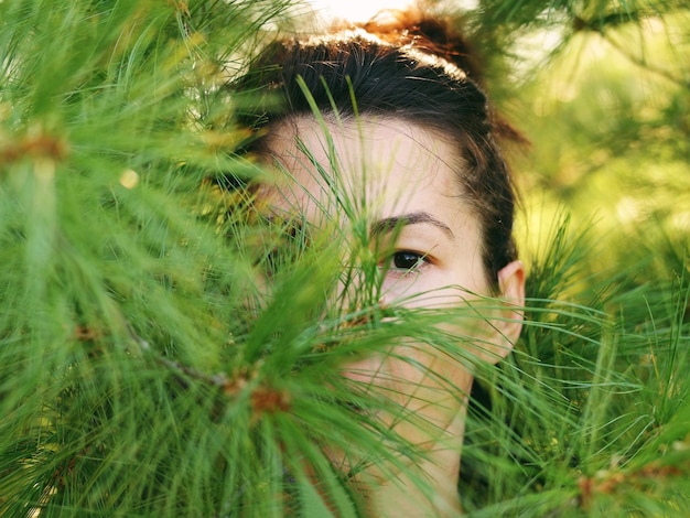 写真 芝生のクローズアップ