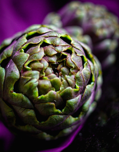 写真 植物上の緑のチリのクローズアップ