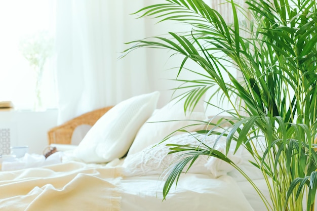 写真 緑色の新鮮な熱帯室内植物のナツメヤシの葉と昧な居心地の良い寝室の背景のクローズアップ