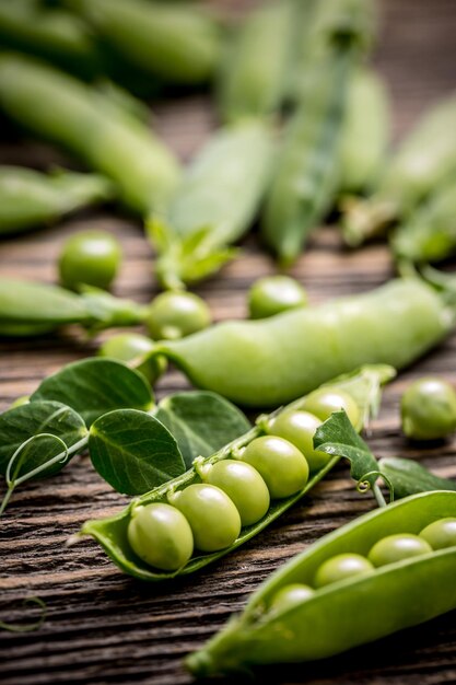 写真 緑豆のクローズアップ