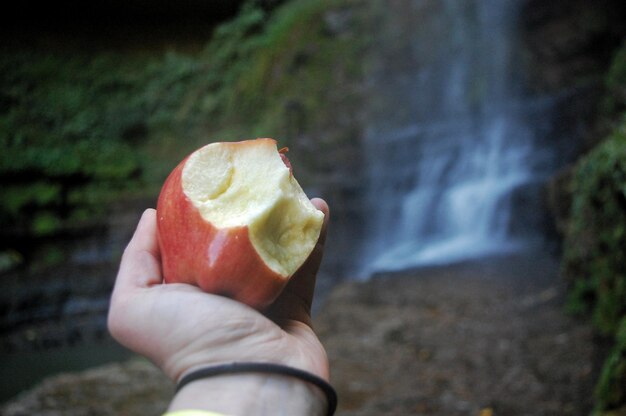 写真 リンゴを握っている手のクローズアップ