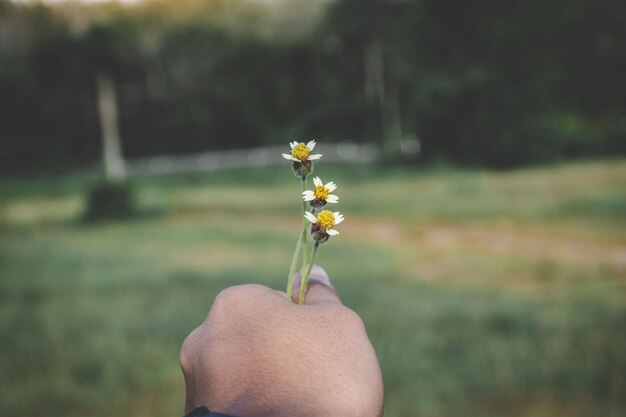 写真 手に花を握っているクローズアップ