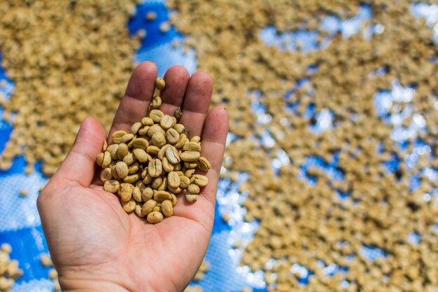 写真 手で食べ物を握るクローズアップ