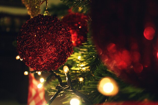 写真 夜に照らされたクリスマスツリーのクローズアップ