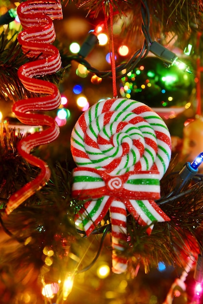 Фото Близкий план освещенной рождественской елки
