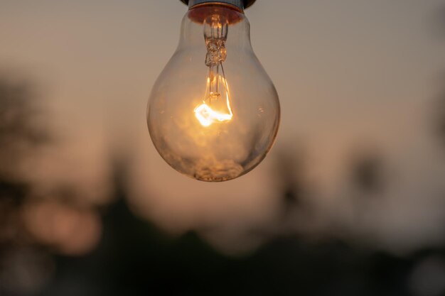 写真 照らされた電球のクローズアップ