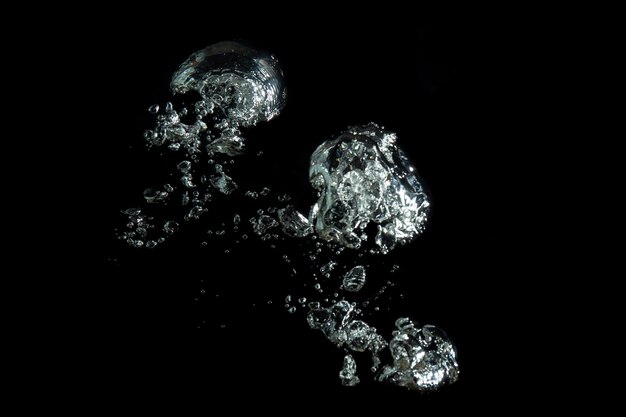 写真 暗の中の水母のクローズアップ