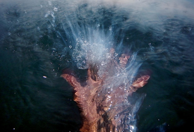 Фото Близкий план медузы, плавающей в воде