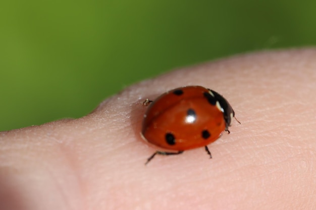 写真 手元にあるカメラのクローズアップ