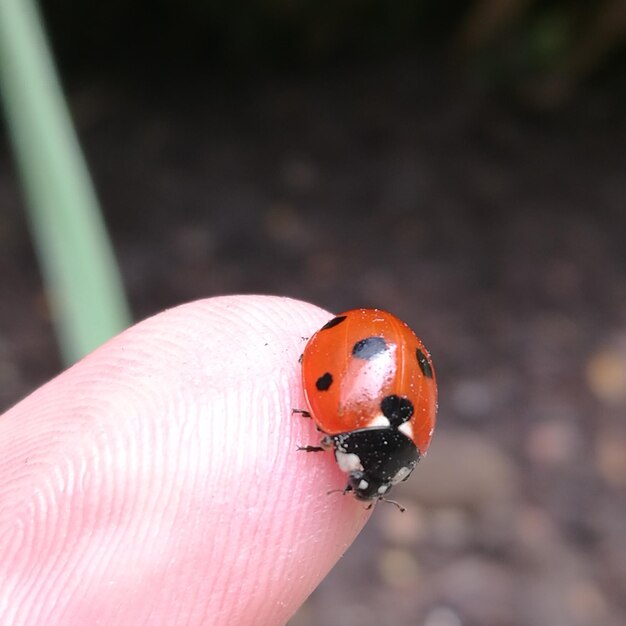 写真 手元にあるカメラのクローズアップ