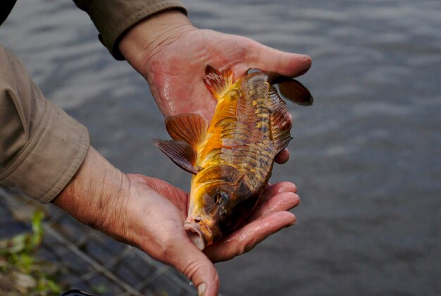 写真 海に向かって魚を握っている男のクローズアップ