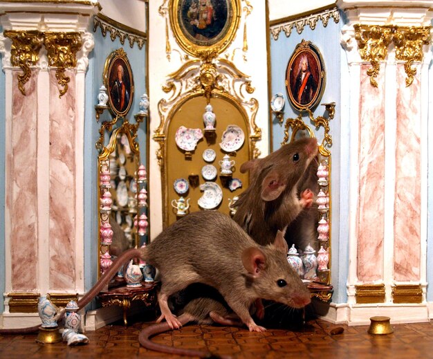 写真 ドールハウスのネズミのクローズアップ