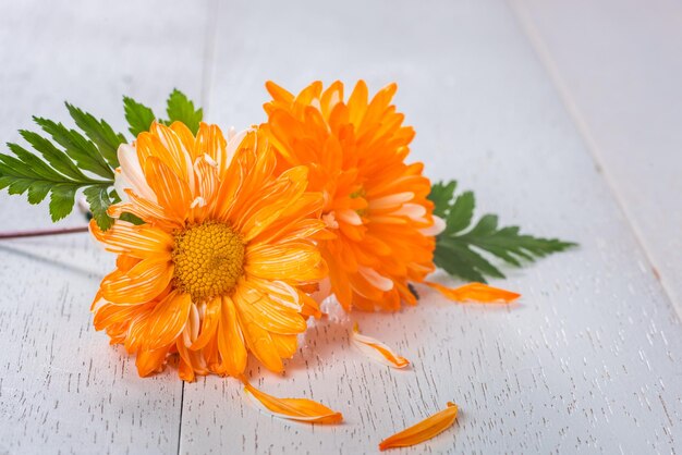 写真 テーブル上のオレンジの花のクローズアップ