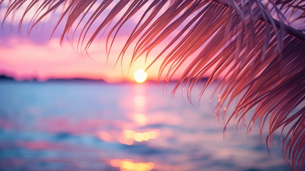 写真 柔らかい色調の夕日の海とヤシの葉のクローズアップ 美しい自然の背景