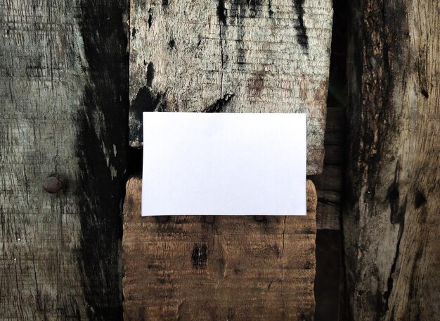 사진 벽 에 붙어 있는 나무 줄기 에 매달린 종이 의 클로즈업