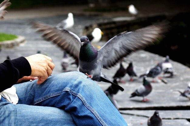 写真 人間の足の上に座っているのクローズアップ