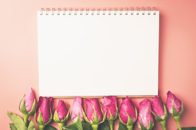 写真 日記によるピンクのバラのクローズアップとカラーの背景