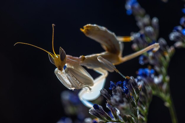 写真 プラントのクローズアップ