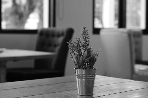 Фото Близкий снимок горшечного растения на столе у окна