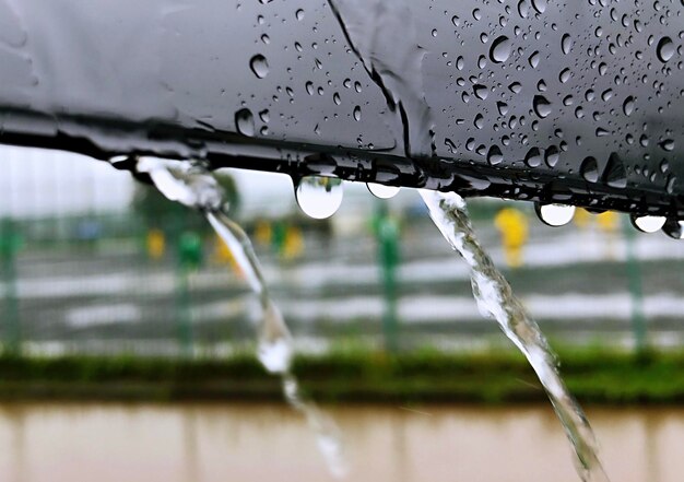 写真 雨季の窓上の雨滴のクローズアップ