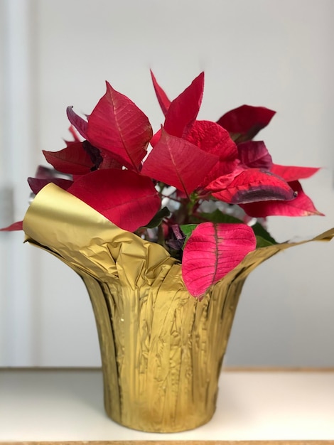 Фото Близкий план красных роз в вазе на столе