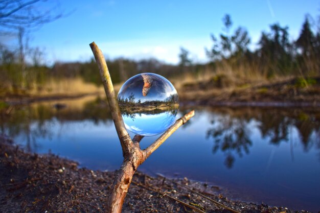 写真 水中の木の反射のクローズアップ