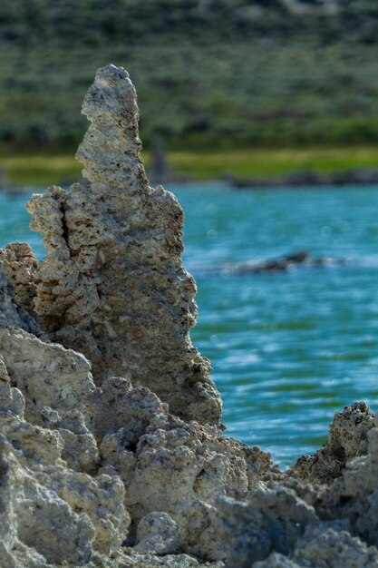 Фото Близкий взгляд на скалы в море