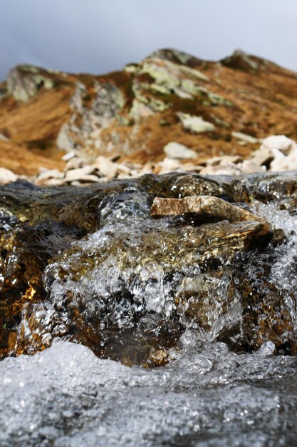 写真 水中の岩のクローズアップ