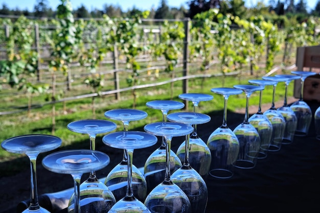 Фото Крупный план ряда винных бокалов