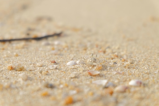 Фото Близкий снимок песка на пляже