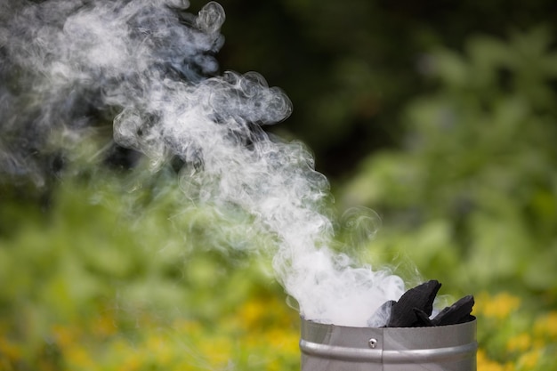 Фото Близкий взгляд на дым, исходящий из угля в контейнере, на растения