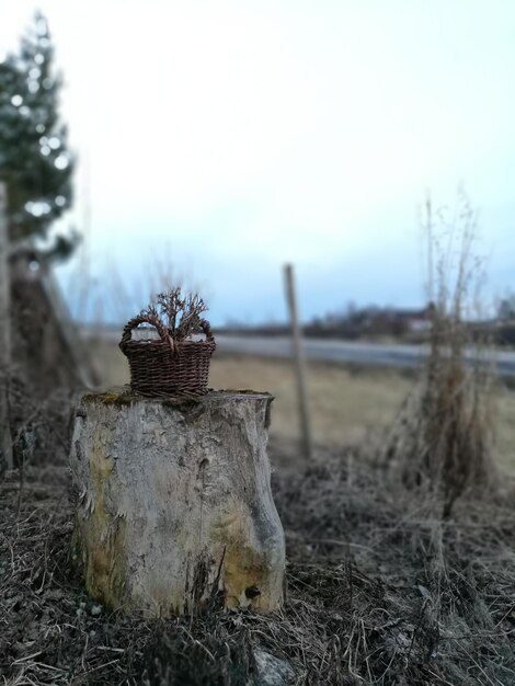 Фото Близкий план снега на фоне неба